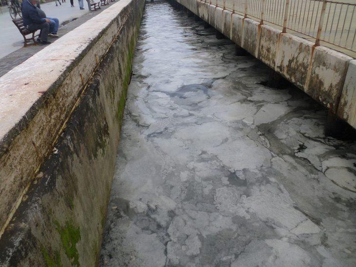 Sahilde korkutan manzara G4