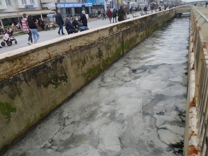 Sahilde korkutan manzara G5