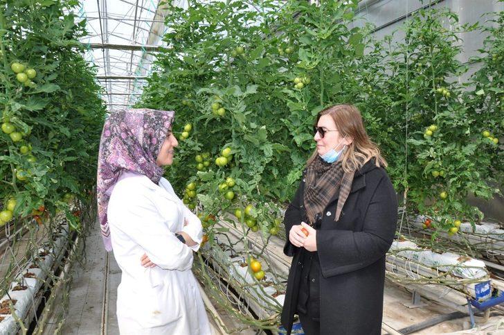 Belçika Anvers Milletvekillerinden Diyadin’e ziyaret G2