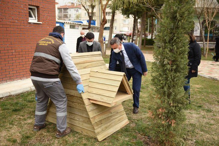 Sokak kedileri ev sahibi oldu G1