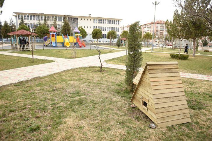 Sokak kedileri ev sahibi oldu G4