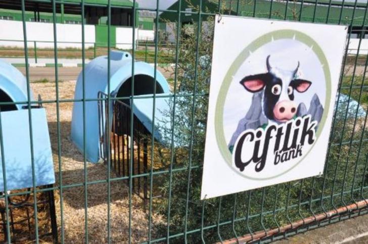 Çiftlik Bank'ın Tosun'u dizi mi oluyor? Çiftlik Bank Mehmet Aydın'ın hikayesi Exxen'de! G2