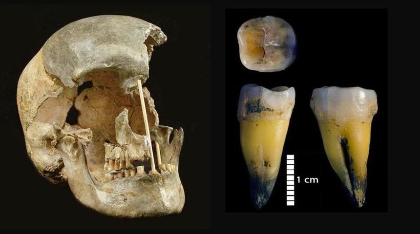 Modern insana ait en eski DNA bulundu!