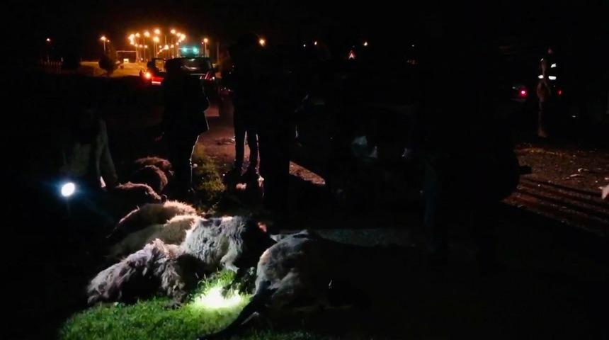 Otomobil s&uuml;r&uuml;ye daldı, 29 hayvan telef oldu