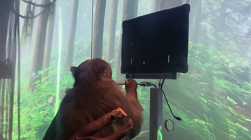 Neuralink'ten 'zihin gücüyle Pong oynayan maymun' paylaşımı! Elon Musk detayları açıkladı