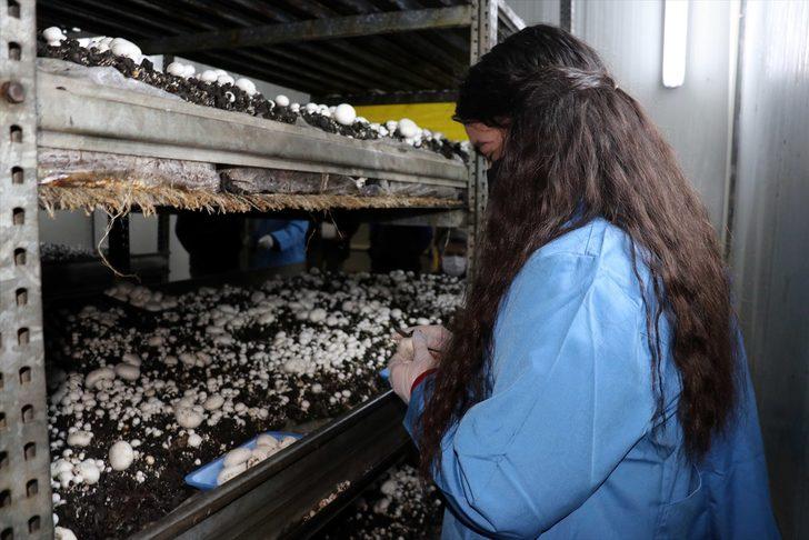 Karabük'te gençler mesleki eğitim kursuyla "altın bilezik" sahibi oluyor G2
