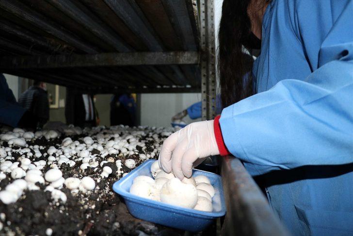 Karabük'te gençler mesleki eğitim kursuyla "altın bilezik" sahibi oluyor G5