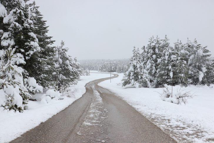 Kastamonu, Çorum, Sinop, Tokat ve Çankırı'da kar etkili oldu G1