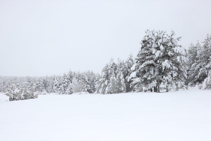 Kastamonu, Çorum, Sinop, Tokat ve Çankırı'da kar etkili oldu G2