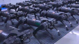 Çin'deki robot ordusu korku veriyor! Bilim-kurgu yapımlarından fırlamış gibiler