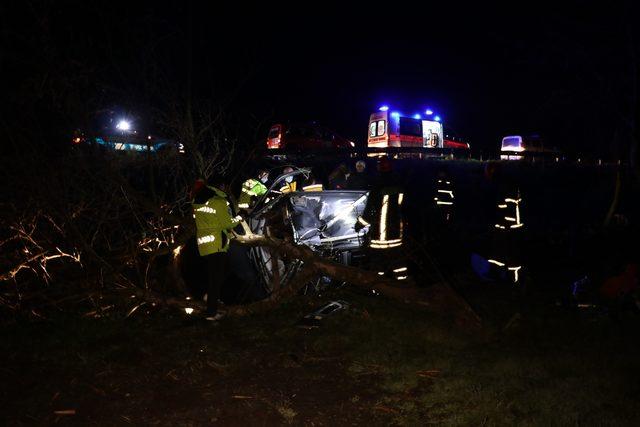 Sakarya'da ağaca çarpan pikabın sürücüsü öldü