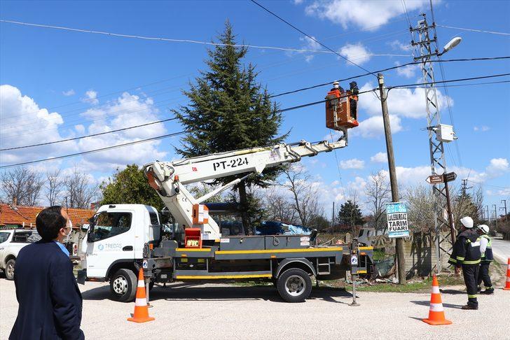 Tekirdağ'da leyleklerin akıma kapılmaması için elektrik direklerine özel platformlar kuruluyor G3