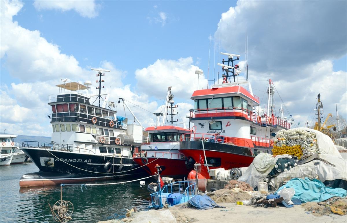 Kocaeli'de balık&ccedil;ılar "deniz salyası" nedeniyle sezonu kapattı