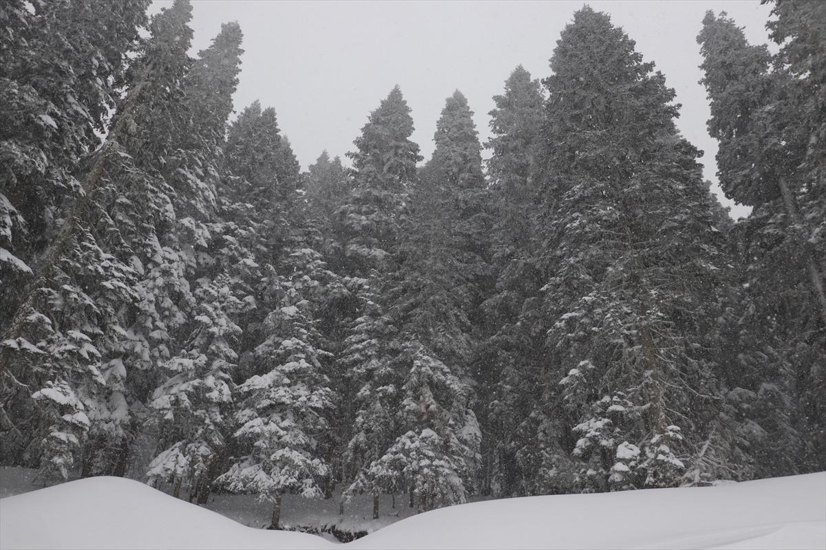 Ilgaz Dağı ve Yaralıg&ouml;z Ge&ccedil;idi'nde yoğun kar yağışı ulaşımı olumsuz etkiliyor