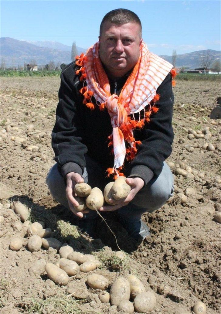 Cumhurbaşkanı Erdoğan'ın müjdesi Ödemişli patates üreticilerini mutlu etti G1