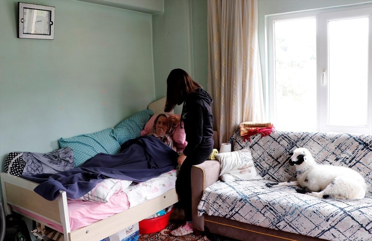 &Uuml;niversiteli Feride Nur, hem yatağa bağımlı ninesine hem annesiz kalmış kuzuya bakıyor