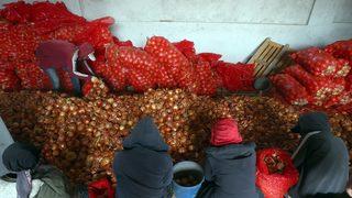 TMO, Polatlı'da ihtiyaç sahiplerine dağıtılacak soğanın alımına başladı