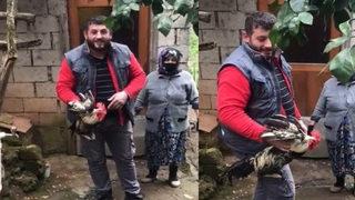 Trabzon’da 'Anne' diye bağıran horoz kesilmekten kurtuldu