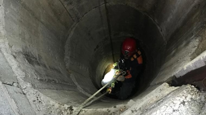 Mersin'de su kuyusuna düşen keçi, itfaiye tarafından kurtarıldı