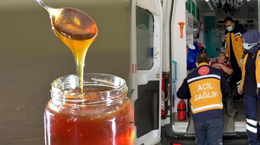 Düzce'de 'deli bal' yiyen kadın ölümden döndü