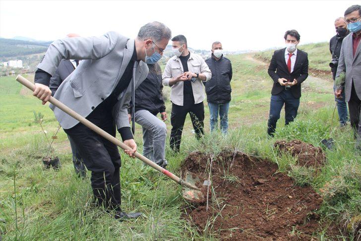 Hatay'da Kovid-19 salgınında yaşamını yitiren sağlıkçılar anısına fidan dikildi G1