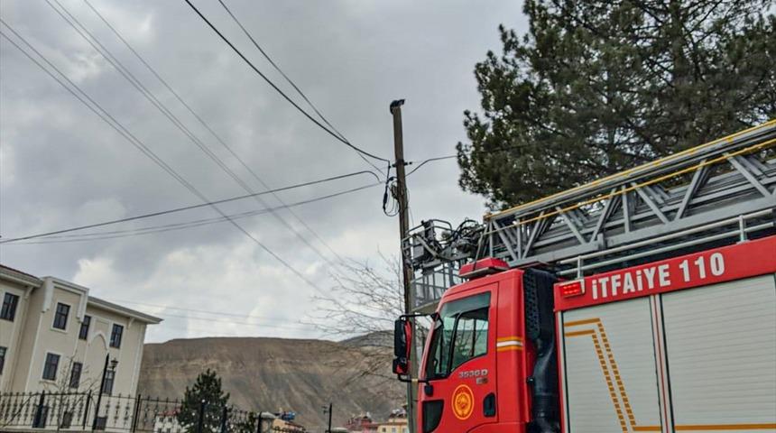 Malatya'da telefon direğinde mahsur kalan kedi itfaiye ekiplerince kurtarıldı