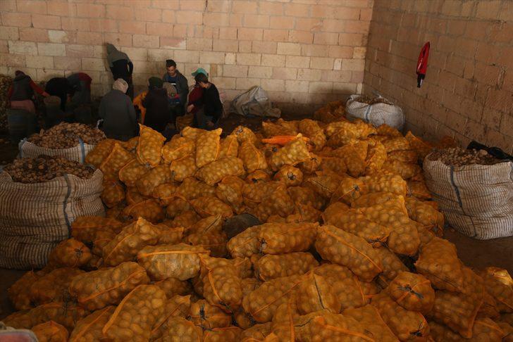 Depoda kalan patates, TMO tarafından üreticiden alınıp ihtiyaç sahiplerinin sofrasına ulaştırılıyor G2
