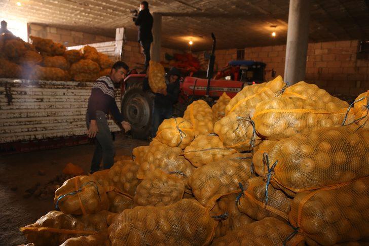 Depoda kalan patates, TMO tarafından üreticiden alınıp ihtiyaç sahiplerinin sofrasına ulaştırılıyor G4