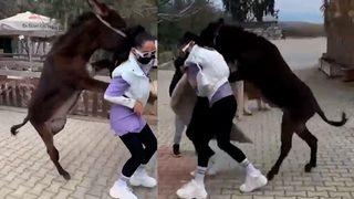 İşte Benim Stilim'le tanınan Zeynep Öztürk eşeğin elinden zor kurtuldu