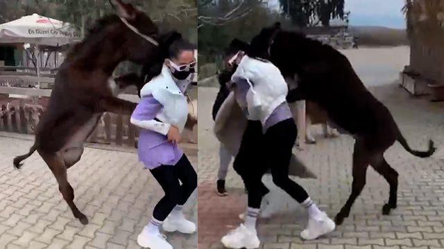 İşte Benim Stilim'le tanınan Zeynep Öztürk eşeğin elinden zor kurtuldu