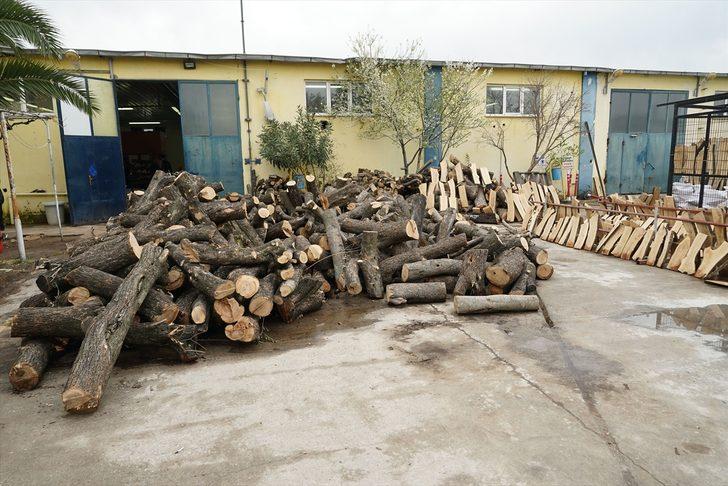 İstanbul'daki kariyerini bırakıp Balıkesir'e yerleşen kadın girişimci, ağaç dallarını ekonomiye kazandırıyor G1