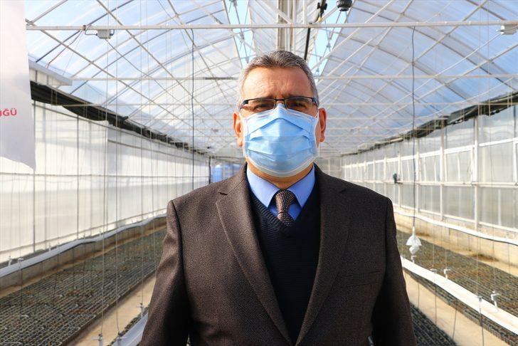 Tekirdağ'da çiftçilere gelirlerinin artırılması amacıyla 56 bin ada çayı fidesi dağıtıldı G2