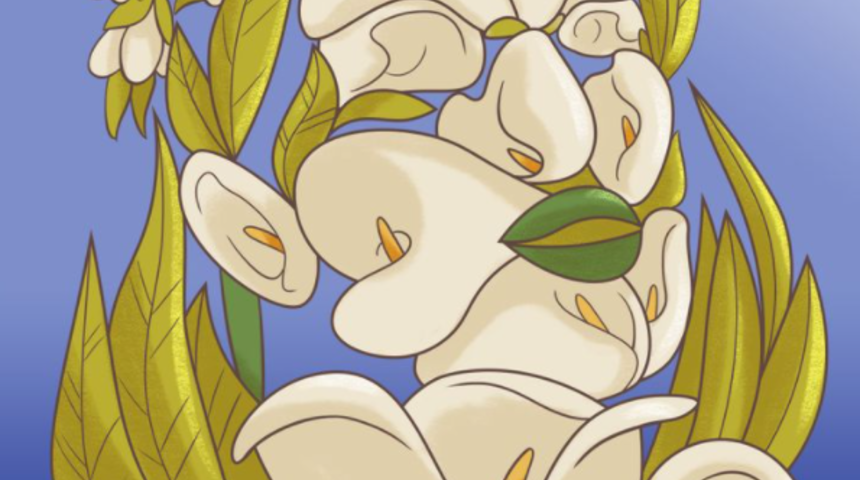 Kişilik testi! Bu fotoğrafta ilk olarak ne görüyorsunuz?