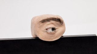 Gerçek bir göz gibi davranan webcam görenleri korkutuyor!