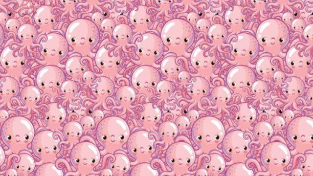 Görsel algılama yeteneğinizi geliştirecek bir bulmaca! Saklanan denizanasını bulabilir misiniz?