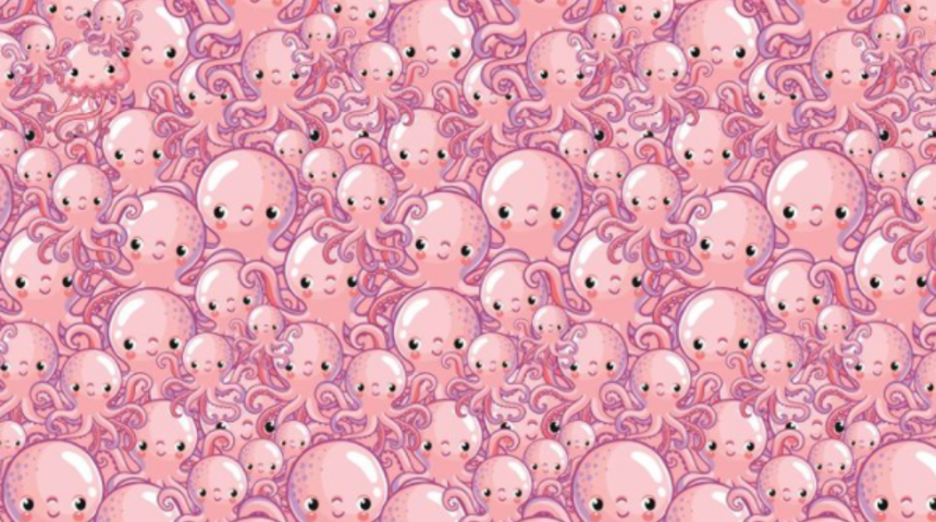 Görsel algılama yeteneğinizi geliştirecek bir bulmaca! Saklanan denizanasını bulabilir misiniz?