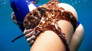 Samimi karşılama! Birinin yüzüne diğerinin kalçalarına dolandılar