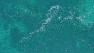 İstanbul Boğazı'nda endişelendiren görüntü: İstila ettiler!