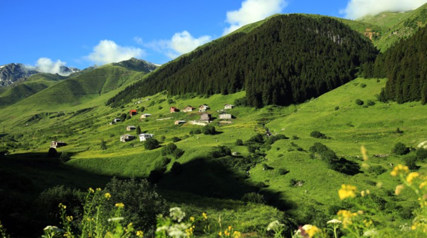 Pandemide evde kalanların ilk tercihi doğa tatili oldu