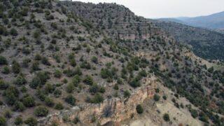 Türkiye’nin ilk fosil ormanı UNESCO yolunda