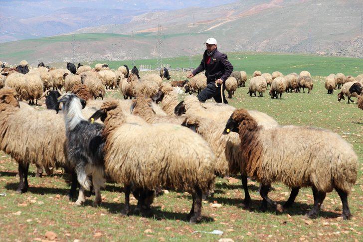 Siirt'te işçilerin zorlu ramazan mesaisi G1