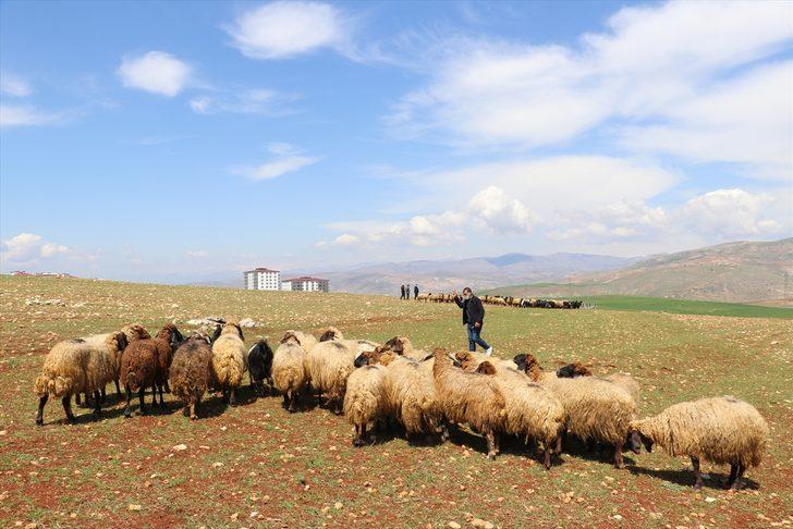 Siirt'te işçilerin zorlu ramazan mesaisi G2