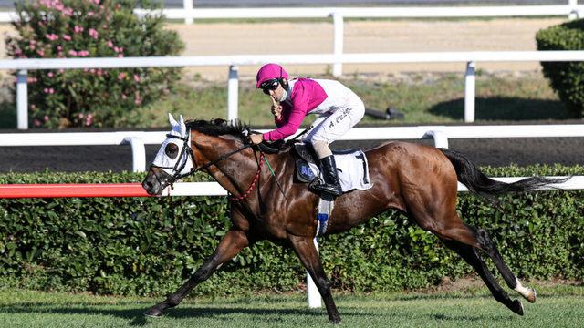 Atlar çime çıktı, Gazi Koşusu ateşi yakıldı