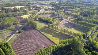 Muş'ta yaklaşık 480 bin metrekare hazine arazisi kullanıcılara satılacak