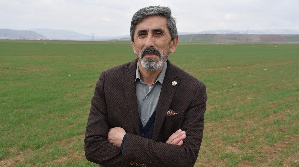 Buğday ekim alanı y&uuml;zde 30 artan Sivas'ta bahar yağışları &ccedil;ift&ccedil;iye can suyu oldu