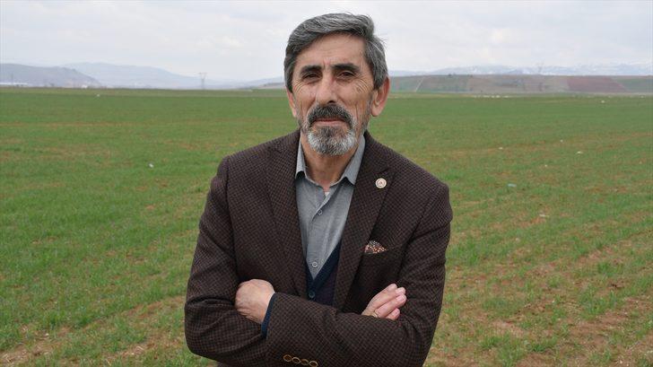Buğday ekim alanı yüzde 30 artan Sivas'ta bahar yağışları çiftçiye can suyu oldu G1