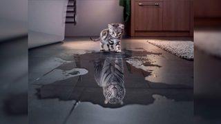 Narsist ne demek? İşte narsist insanların özellikleri…