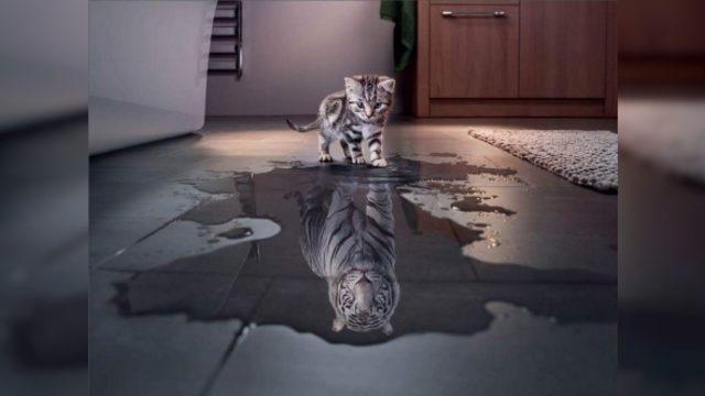 Narsist ne demek? İşte narsist insanların özellikleri…