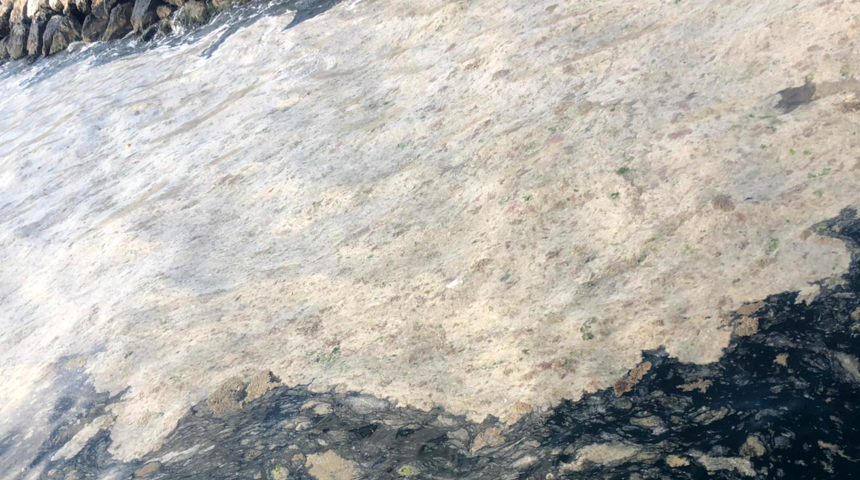 Gemlik sahili, plankton patlaması ile bembeyaz oldu, g&ouml;renler telefona sarıldı