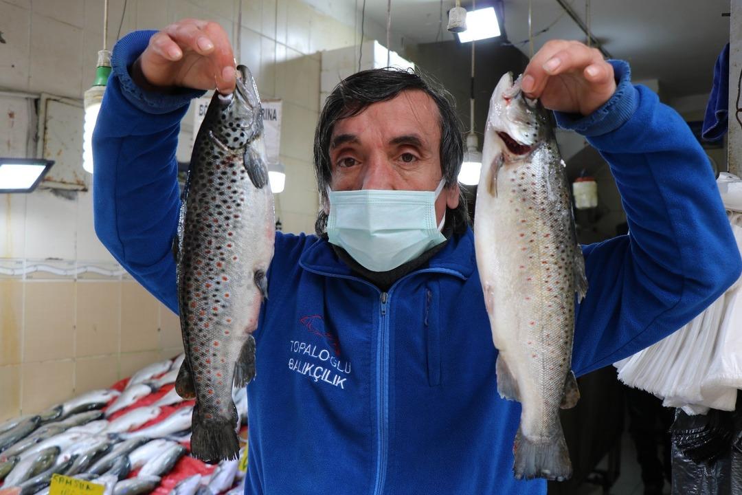 Palamut ’güldürdü’, hamsi ’üzdü’